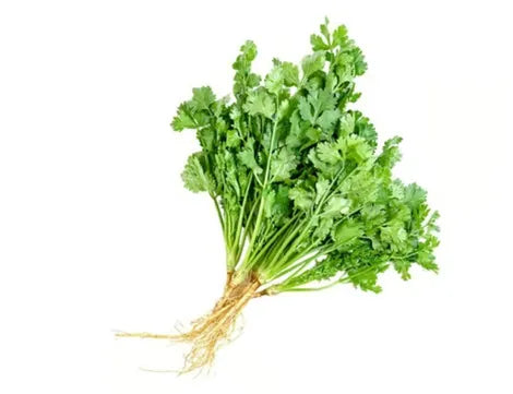 Coriander Bunch - Approximately 90-110 grams