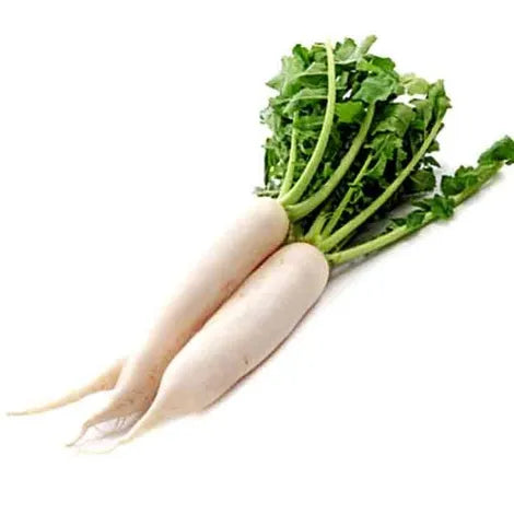 Radish White (Mooli) - 500 grams