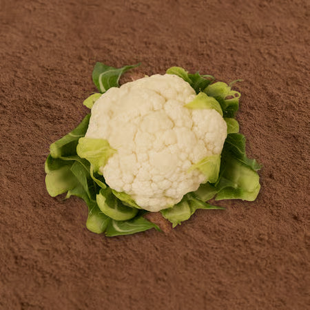 Cauliflower (Phool Gobhi) - 1pc (250-350) grams