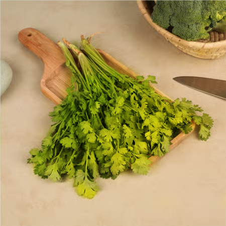 Coriander Bunch - Approximately 90-110 grams